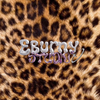 Eburny Studio - Accueil